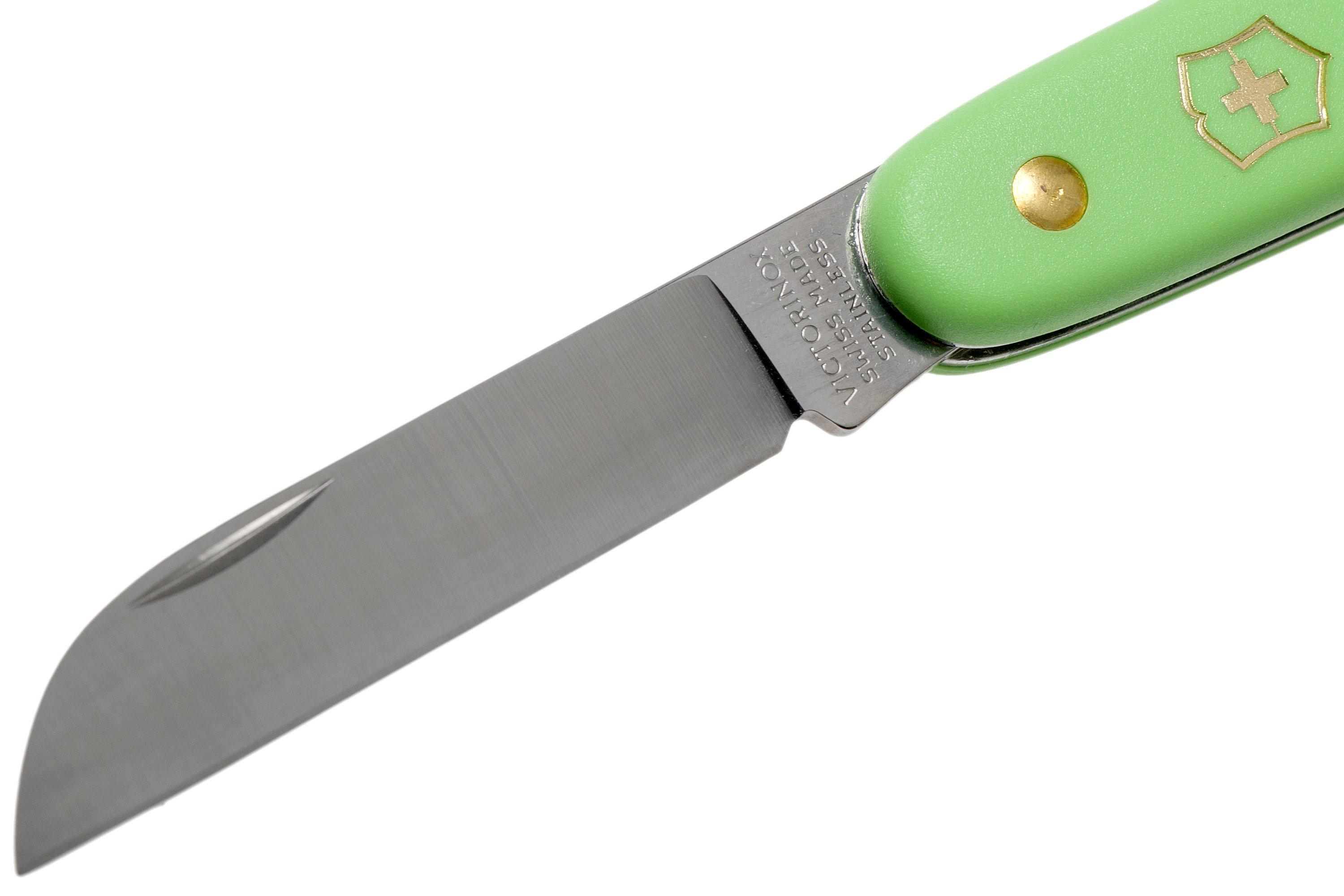 Victorinox Blumenmesser 3.9050.47B1 grün Günstiger shoppen bei