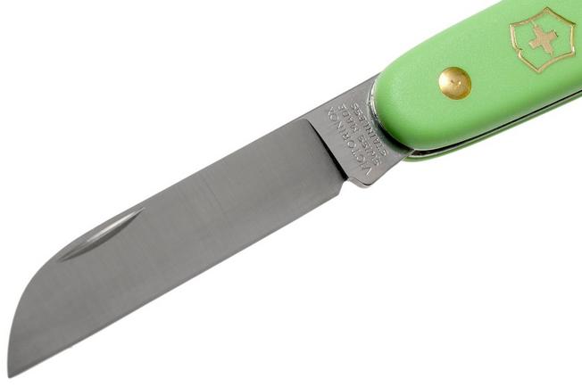 Victorinox  Victorinox Swiss Army Knives 3.9050.47 Floral Knife - Green  Pastel