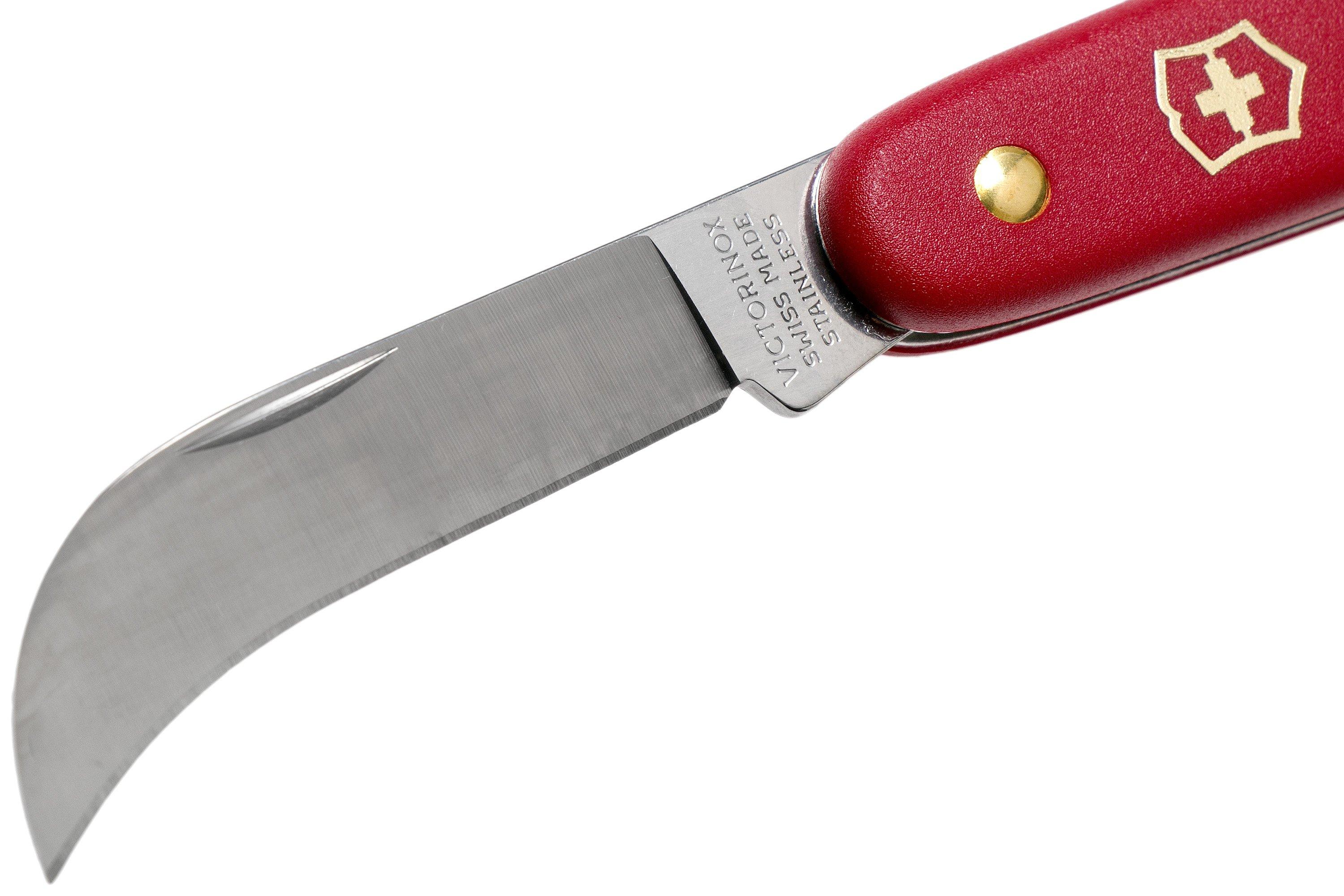 Victorinox Pruning knife XS 3.9060.B1 red Advantageously shopping at Knivesandtools.co.uk