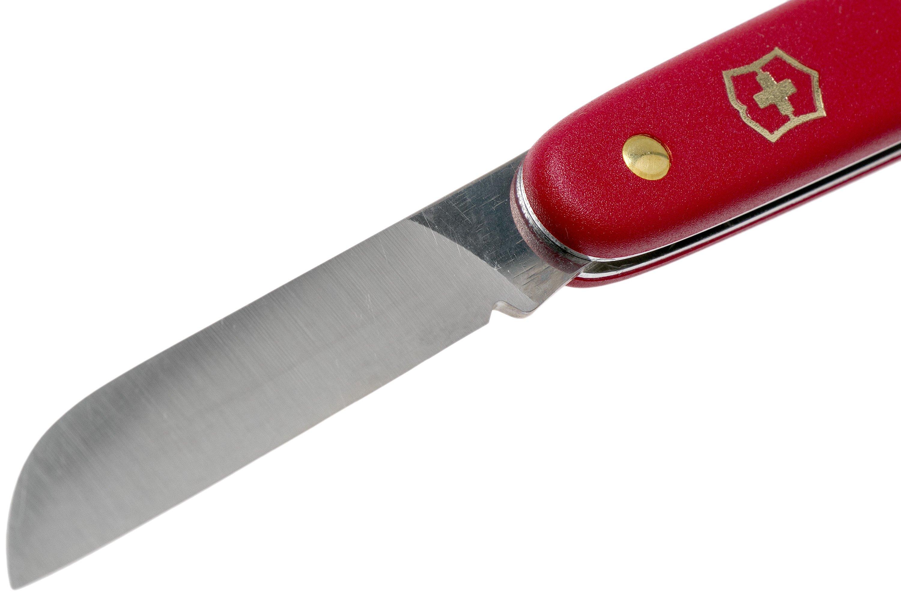 Swiss Floral Straight Red Handle 
