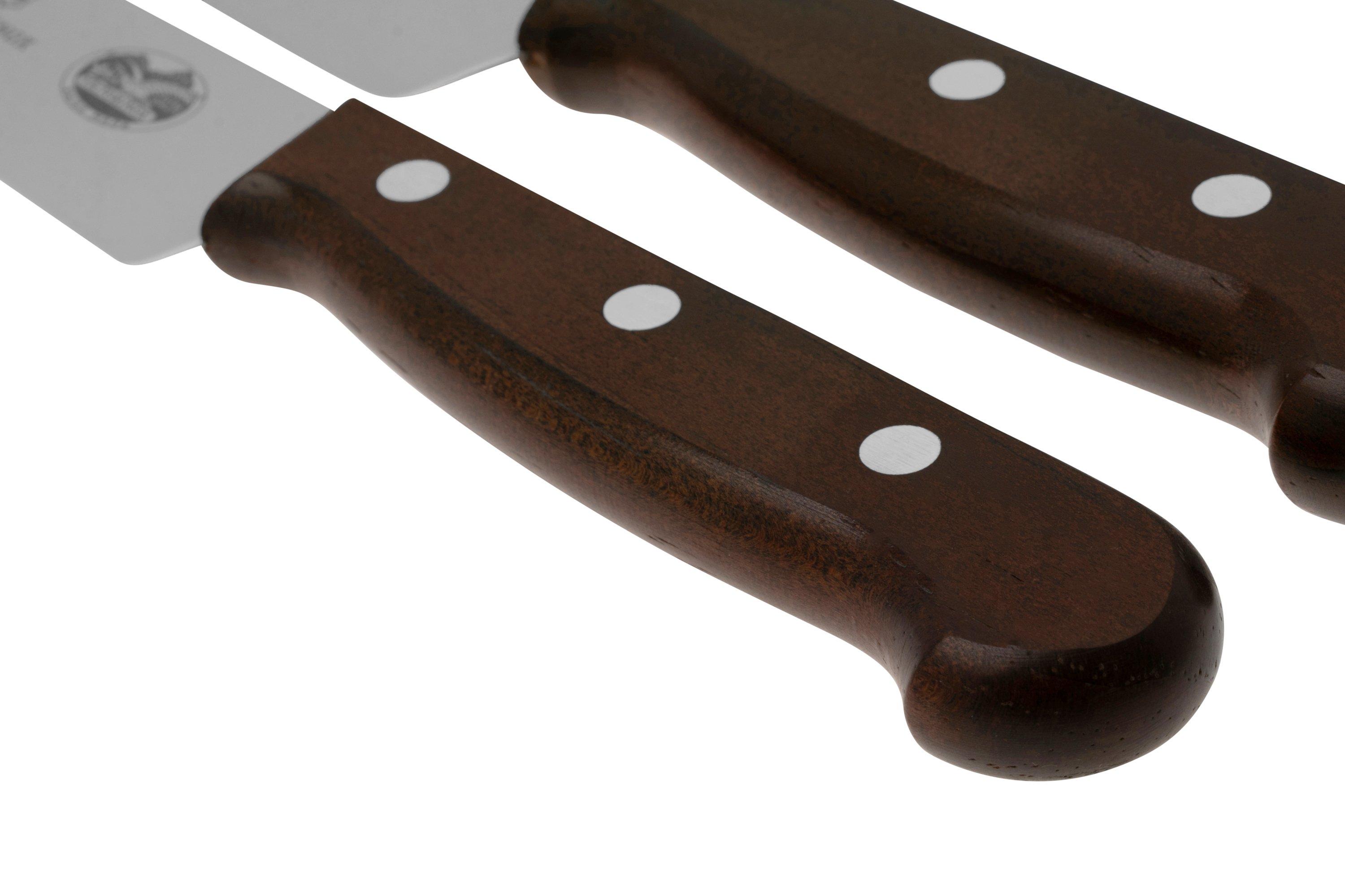Set Coltelli Chef Monoblocco d’Acciaio Alexander Futura