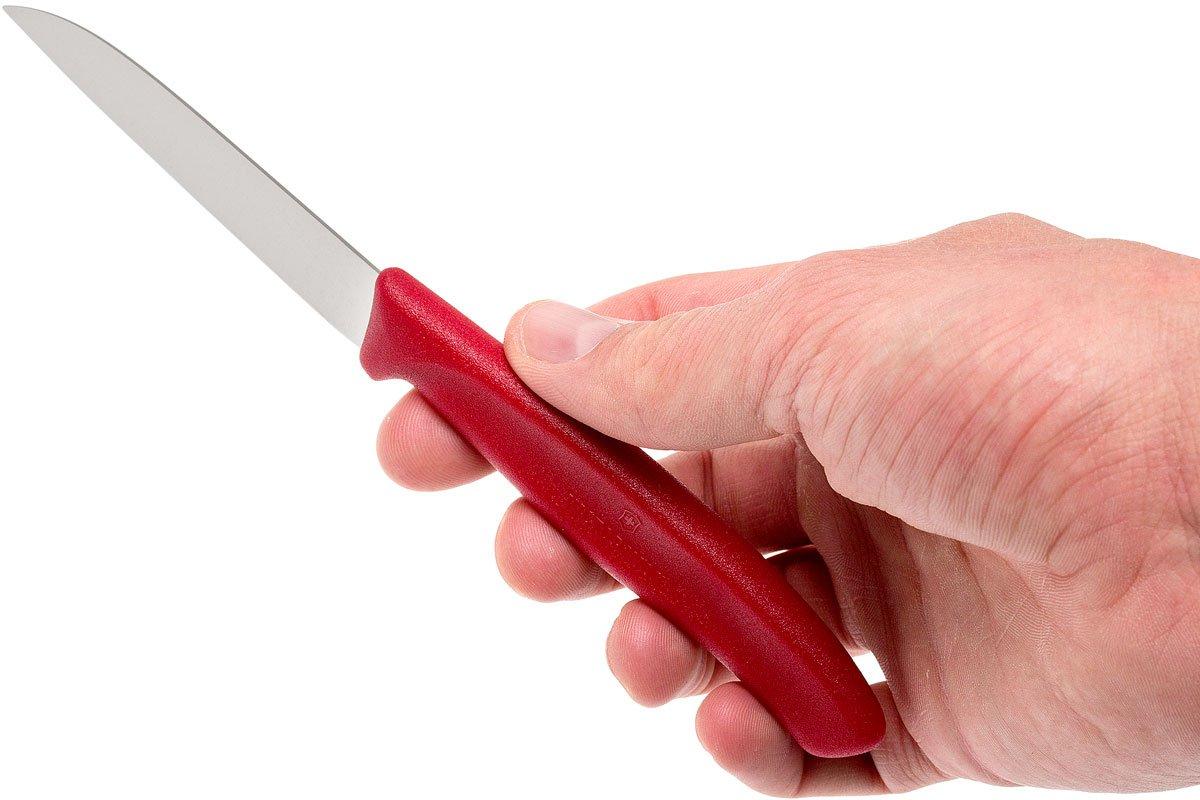 Set 5 Coltelli Da Verdure Victorinox Swiss Classic – Lama 10 Cm – Rosa – Lavabili In Lavastoviglie - 4