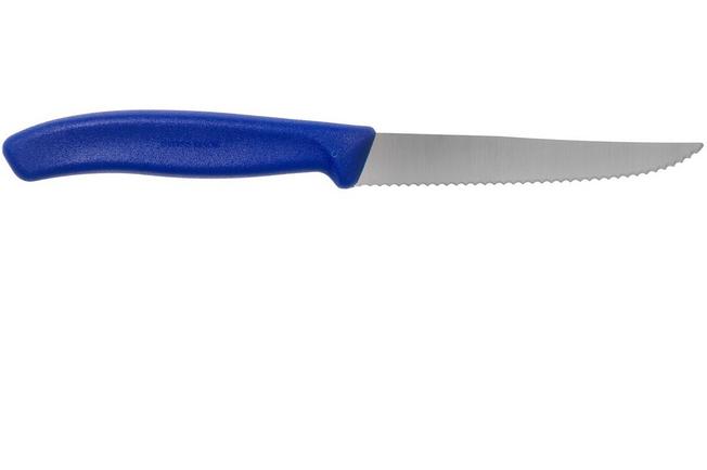 Victorinox - Set de 6 cuillères en acier manche bleu