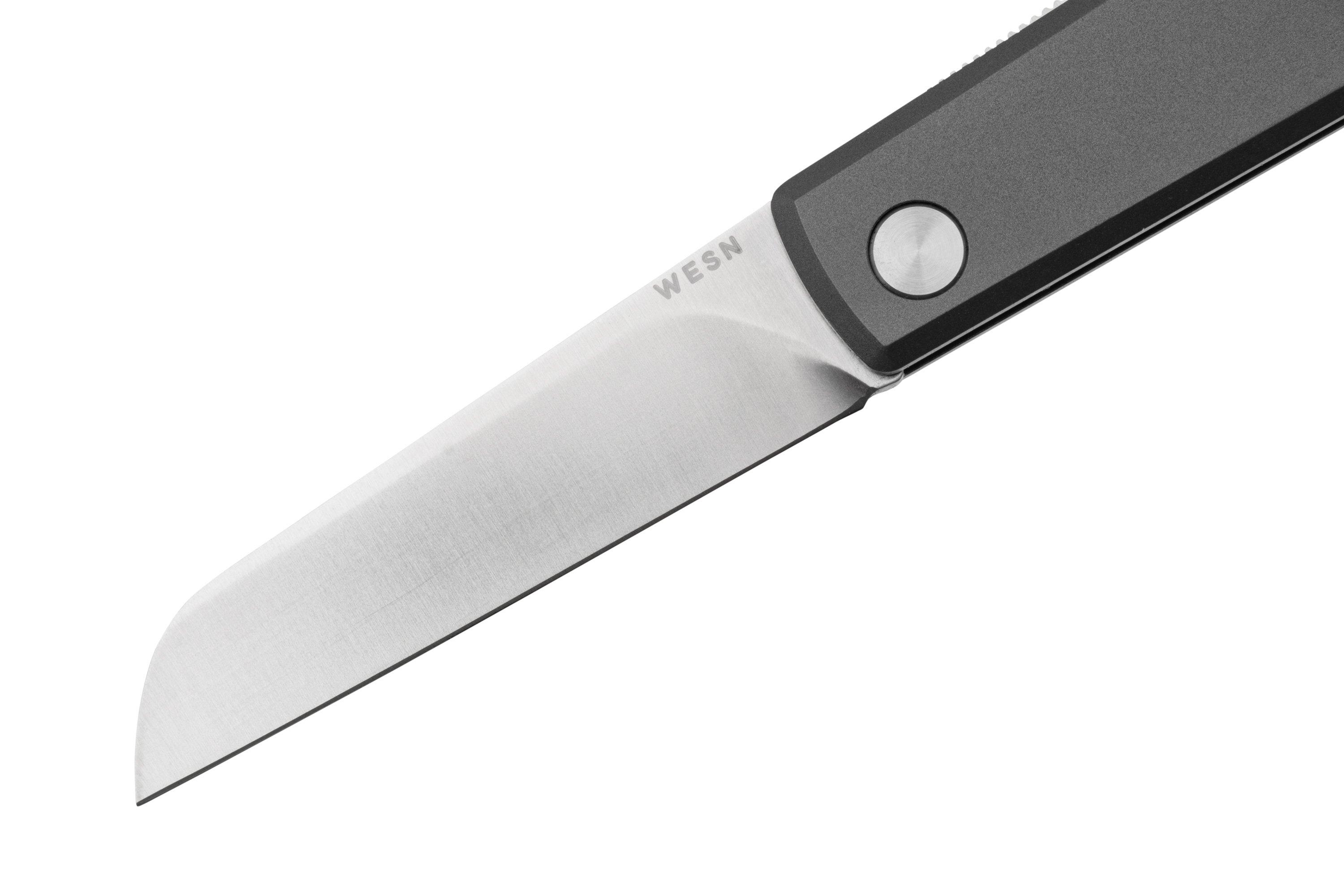 WESN Samla SN141, 12C27, Titanium, pocket knife Advantageously