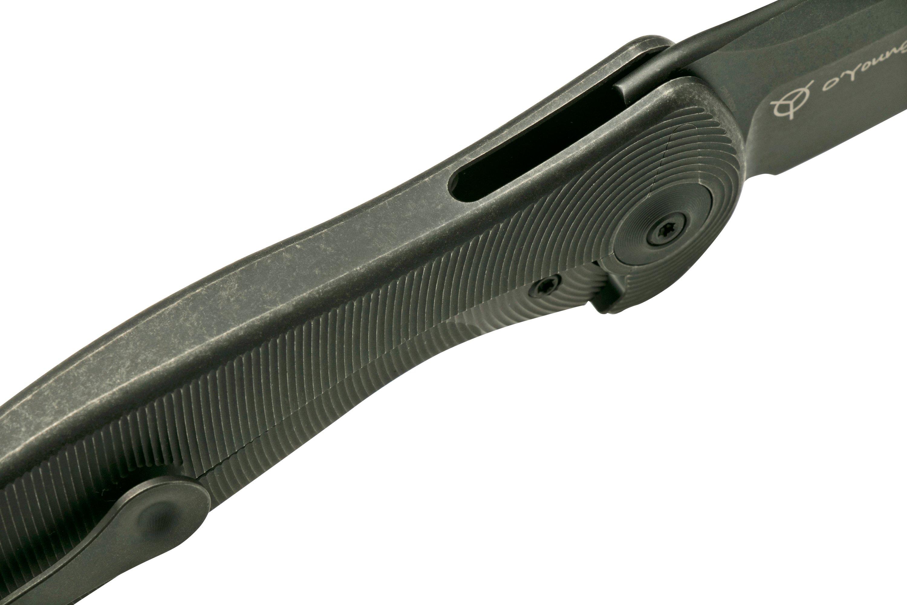 WE Knife Synergy 2v2 WE18046D3, Black Titanium, pocket knife, Jim O