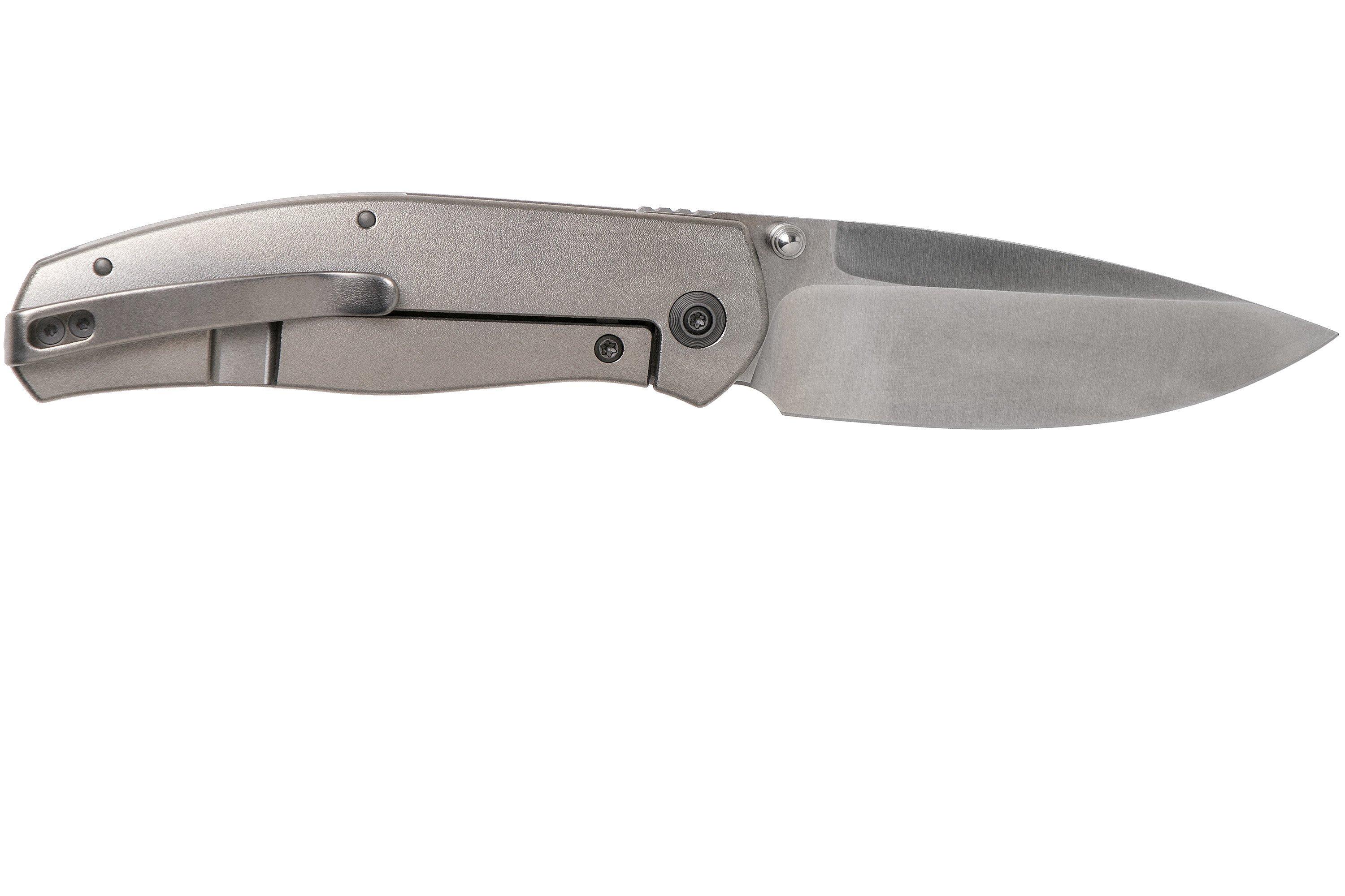 We Knife Company Ray Laconico Esprit Folding Knife 3.25 CPM-20CV Satin  Drop Point Blade, Orange Peel Titanium Handles - KnifeCenter - WE20025B-A