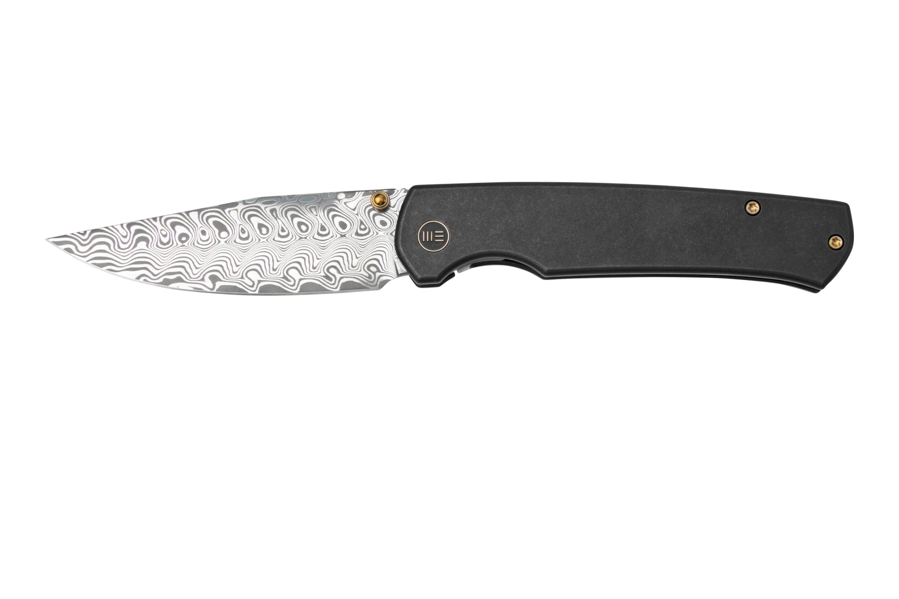 WE Knife Evoke WE21046DS1 black damascus steel coltello da tasca, Ray