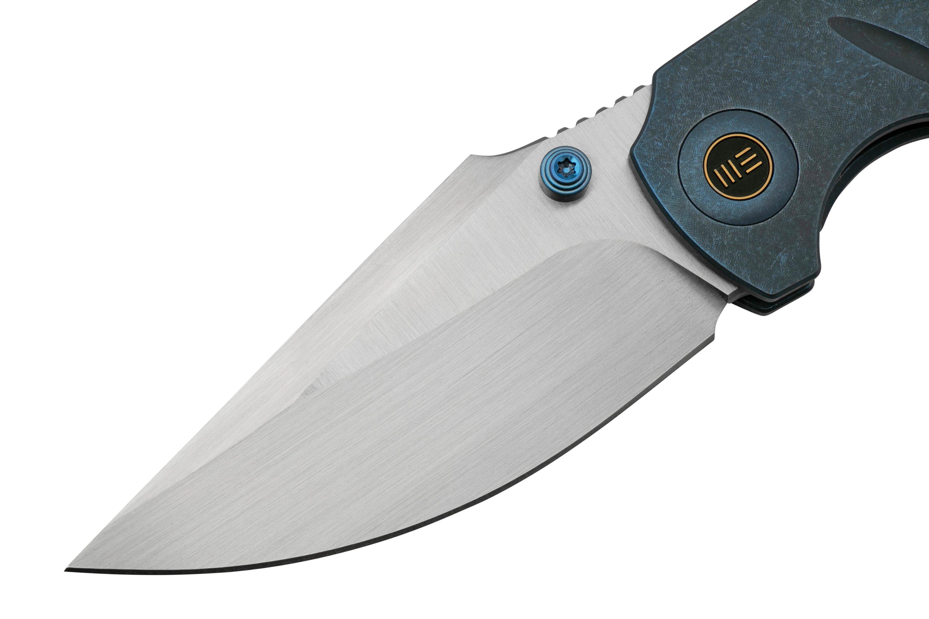 WE Knife RiffRaff Blue Titanium, Satin CPM 20CV WE22020B2 coltello da