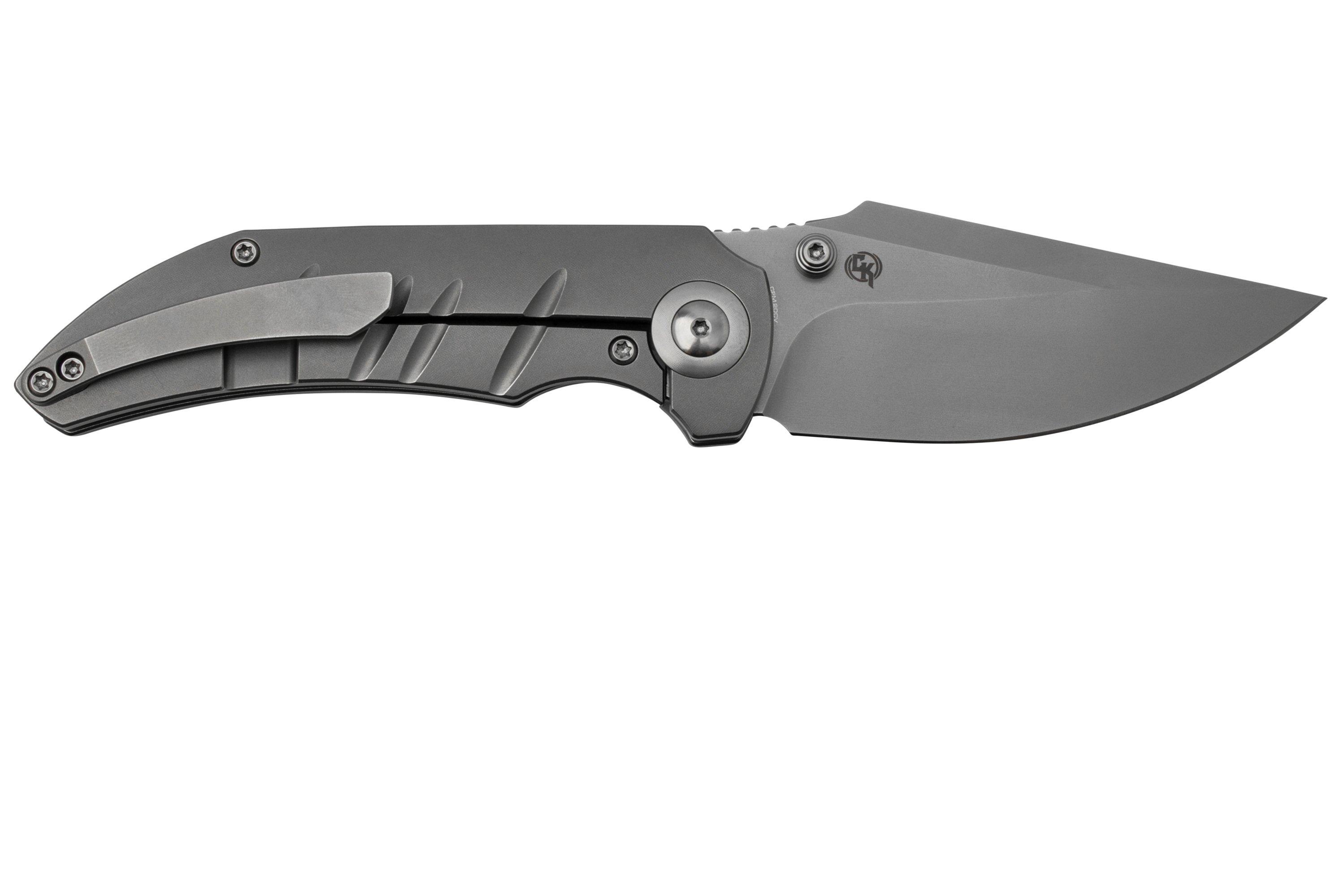 WE Knife RiffRaff Grey Titanium, Blasted CPM 20CV WE22020B4 pocket