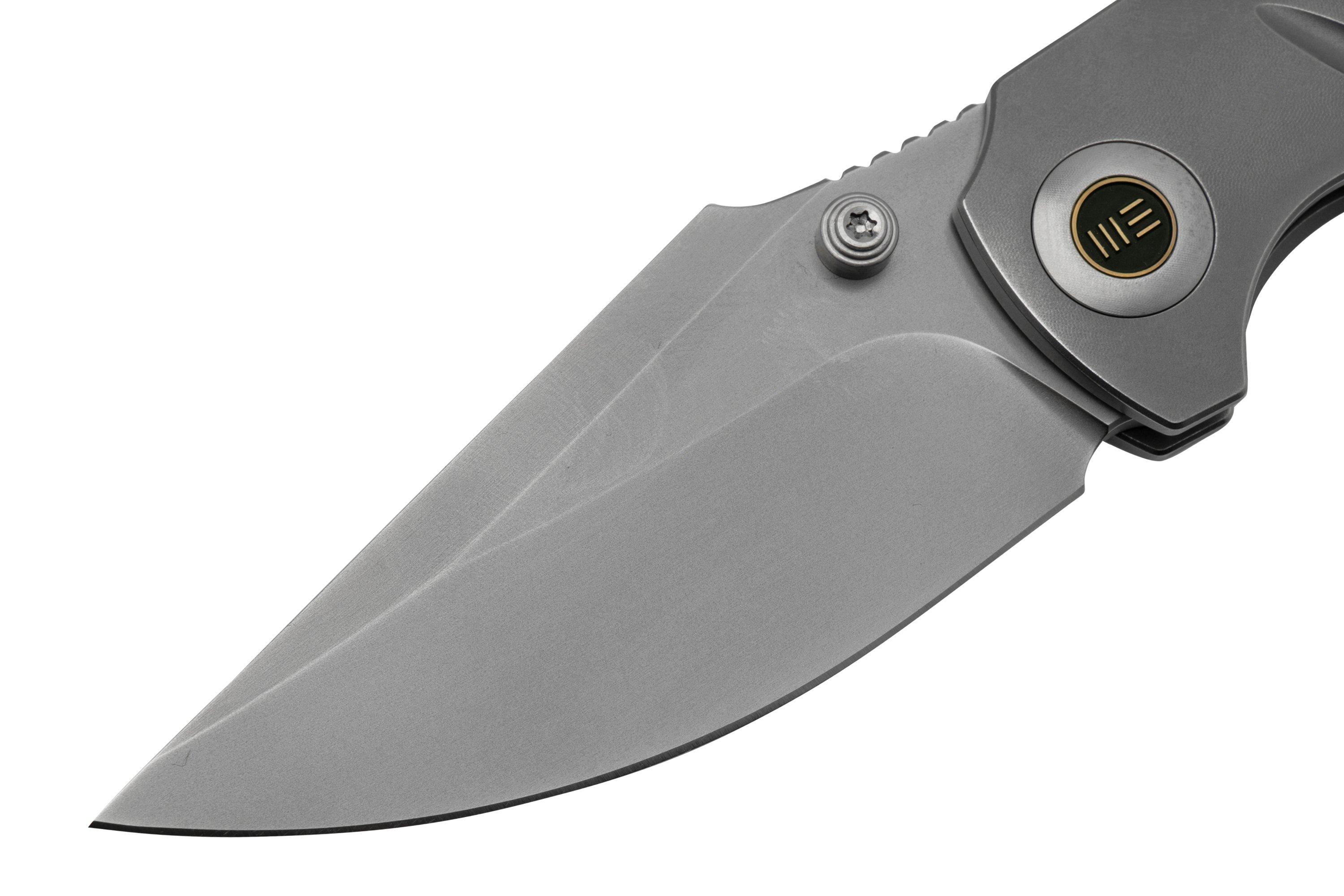 WE Knife RiffRaff Grey Titanium, Blasted CPM 20CV WE22020B4