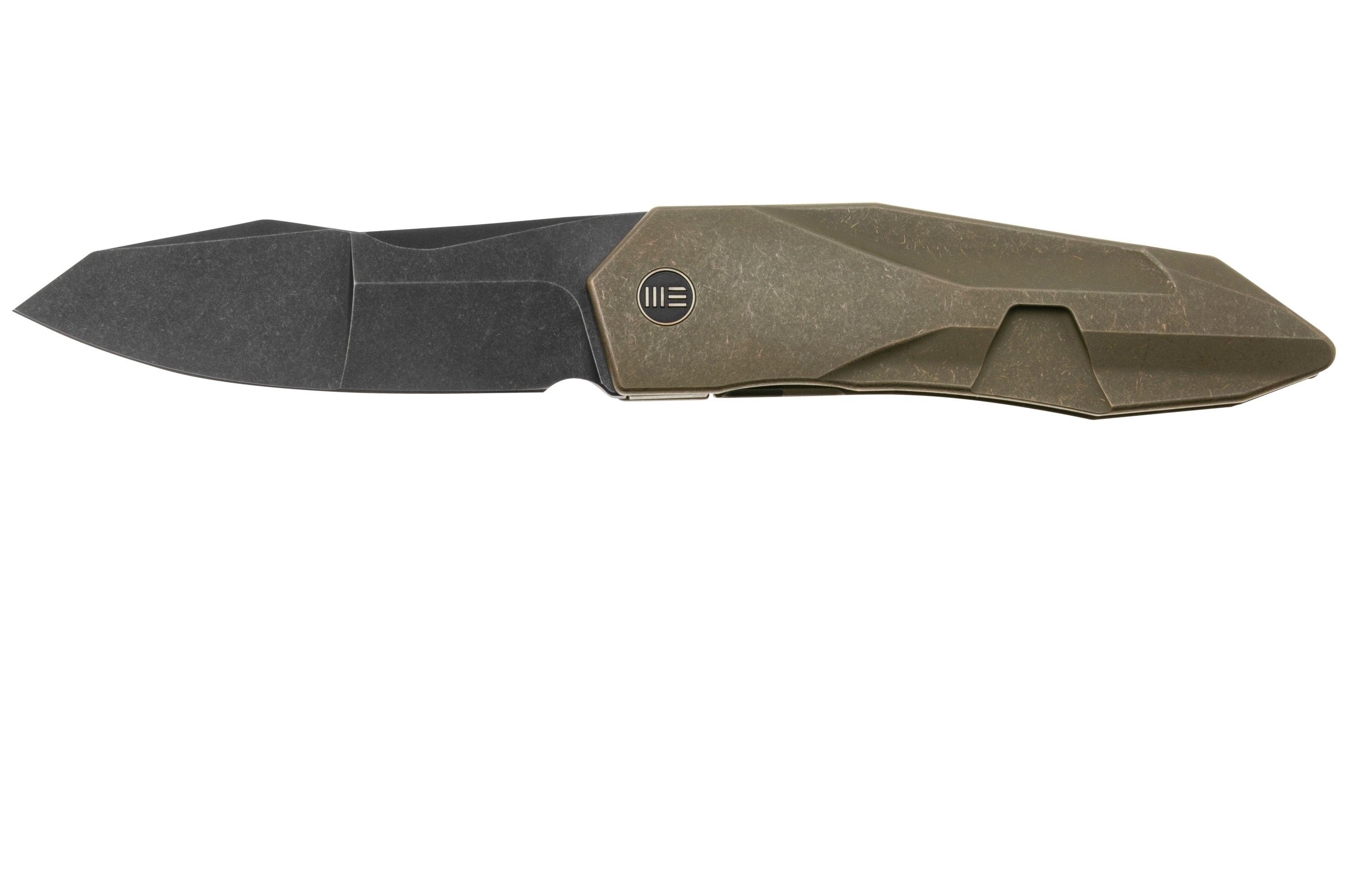 We Knife Solid folding knife WE22028