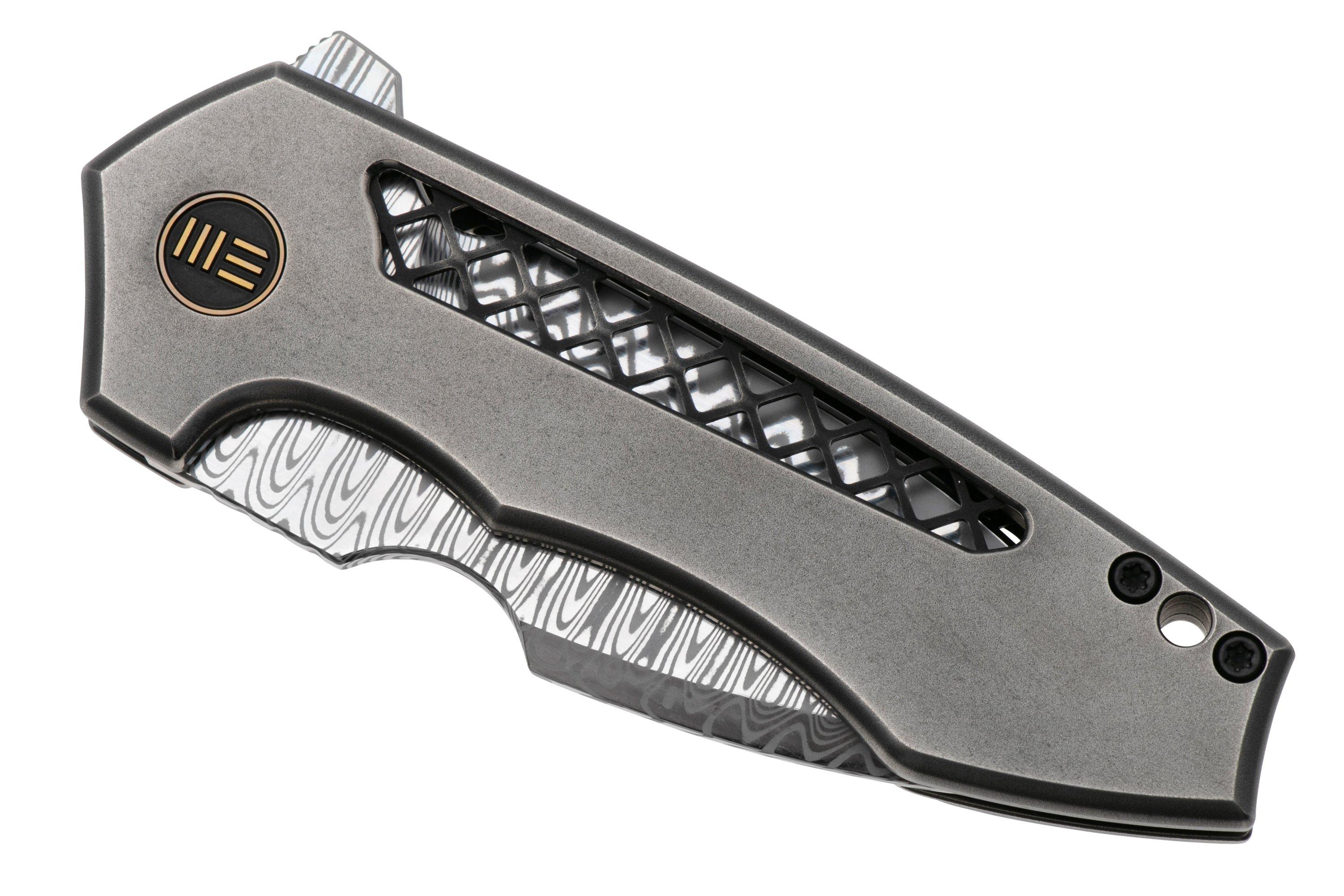 WE Knife Harpen WE23019-DS1 Hugin Damasteel, Polished Gray Titanium ...