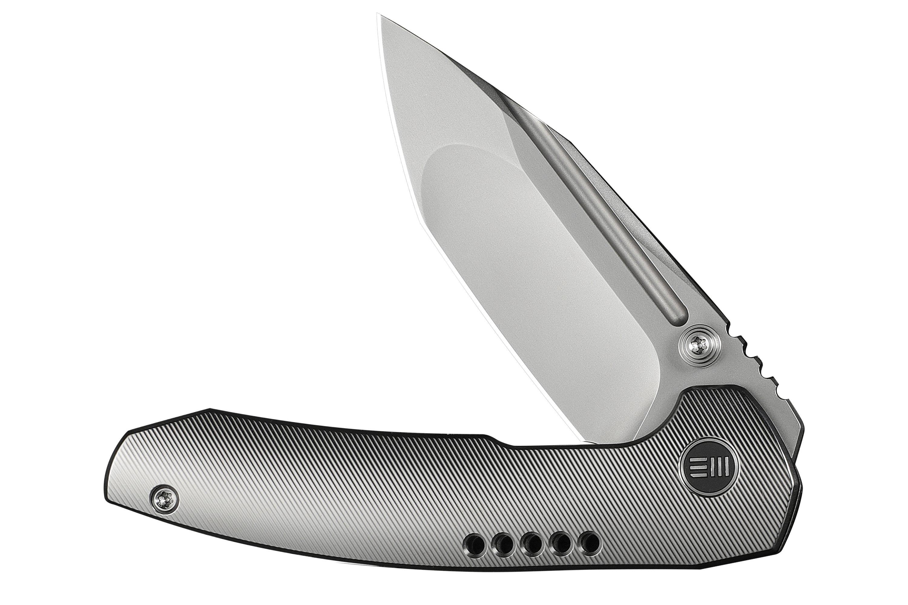 WE Knife Micro Trogon WE24043-2 Polished Bead Blasted Böhler M390 ...