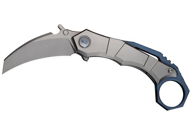 Image for WE Knife Tayra WE24069-2 Stonewashed Böhler M390, Gray Titanium, pocket knife