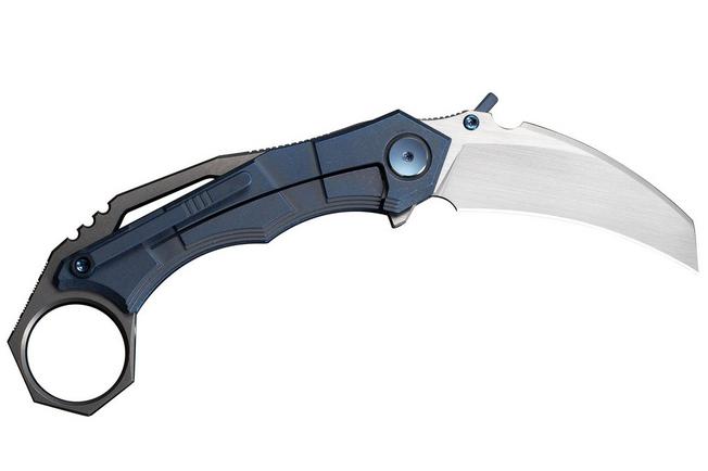 Image for WE Knife Tayra WE24069-3 Hand Rubbed Satin Bohler M390, Blue Titanium Handle, pocket knife