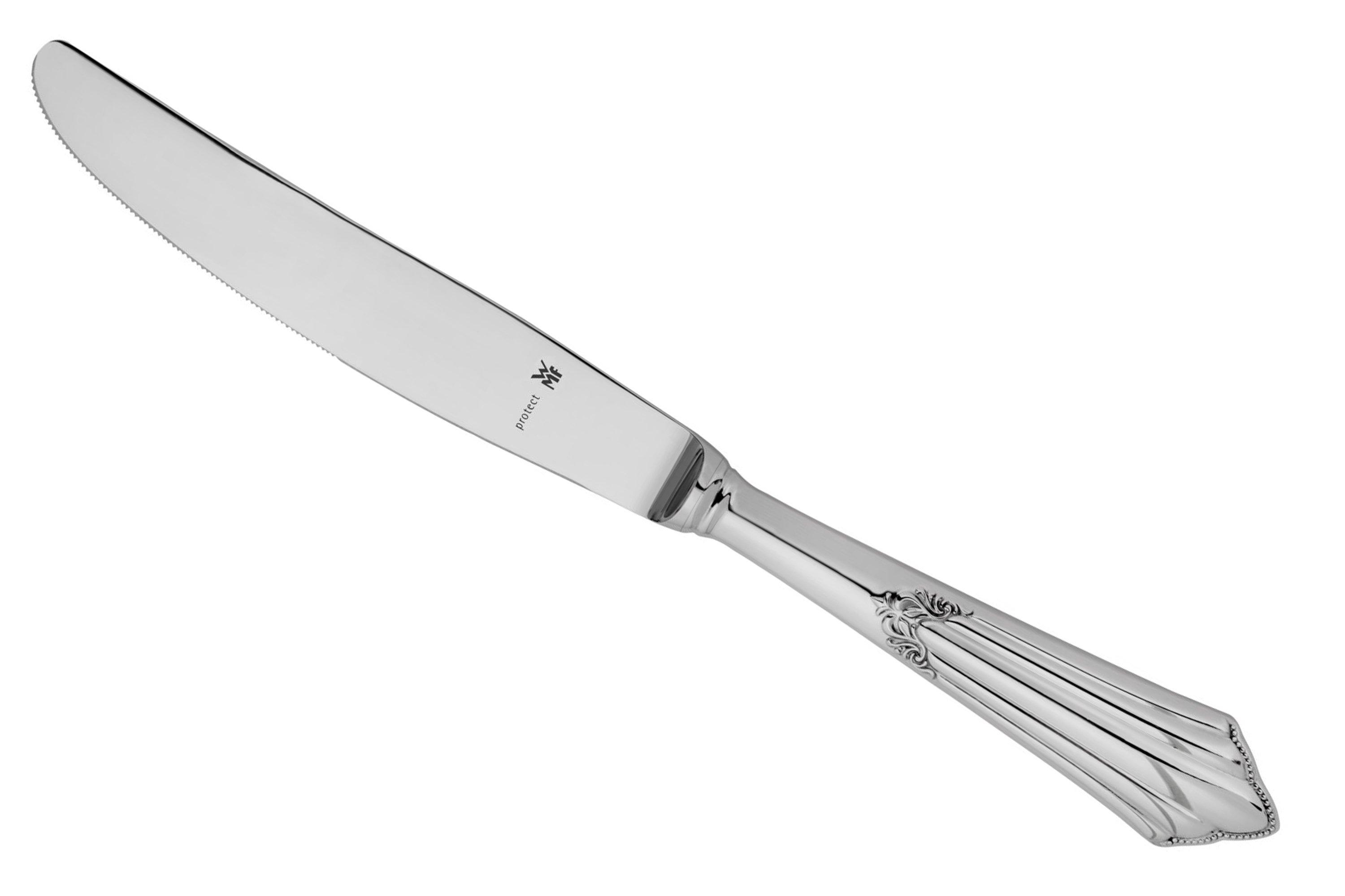 Stainless Steel Dinner Knife Osiris