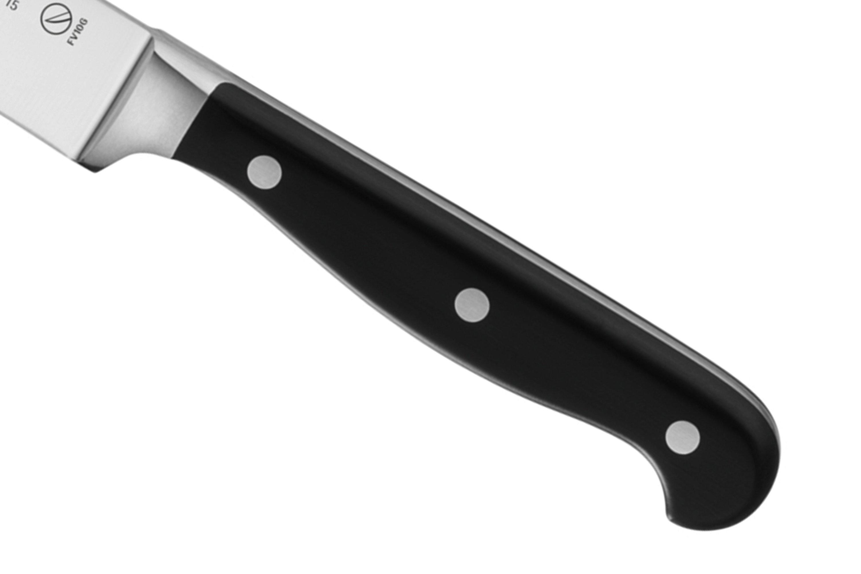 Coltello Per Sfilettare De Luca Lama Acciaio Inox 22 Cm - Linea Professionale Ho.Re.Ca. Plus, Spessore 2.5 Mm
