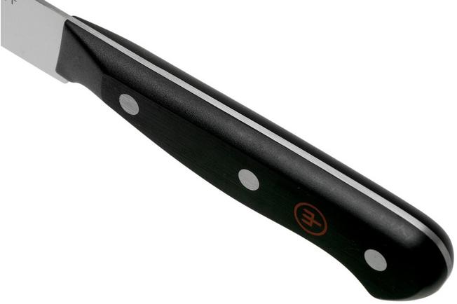 Coltello cucina trinciante Victorinox 5.2063.20 cm 20