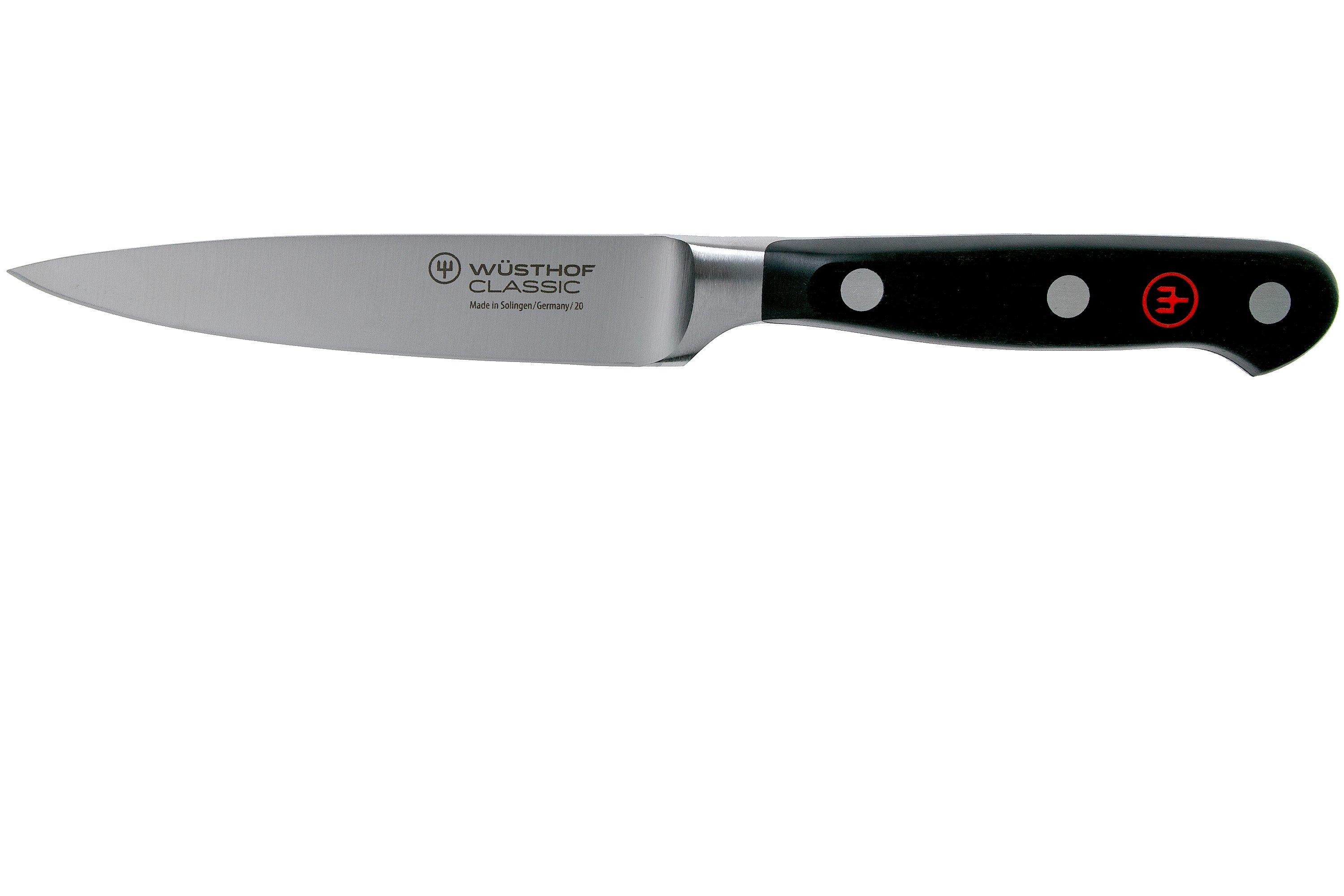 Marsvogel Solingen Set 6 Coltelli Da Cucina Spelucchini – Lama Dritta 7,6 Cm, Manico Rosso