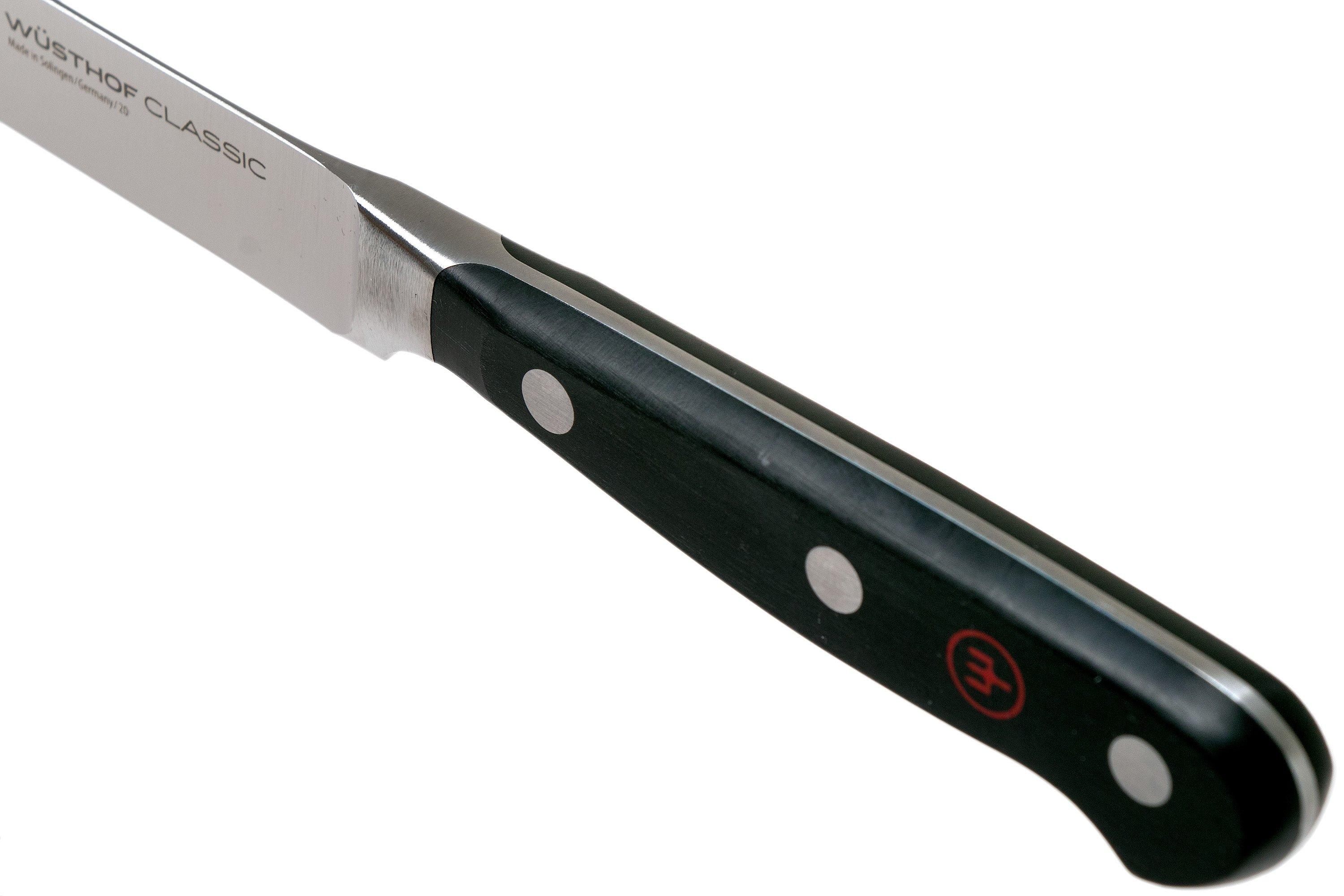 Wusthof Germany - Classic - Coltello Sfilettare Pesce Flessibile da 20cm. -  1040102920 - coltello da cucina