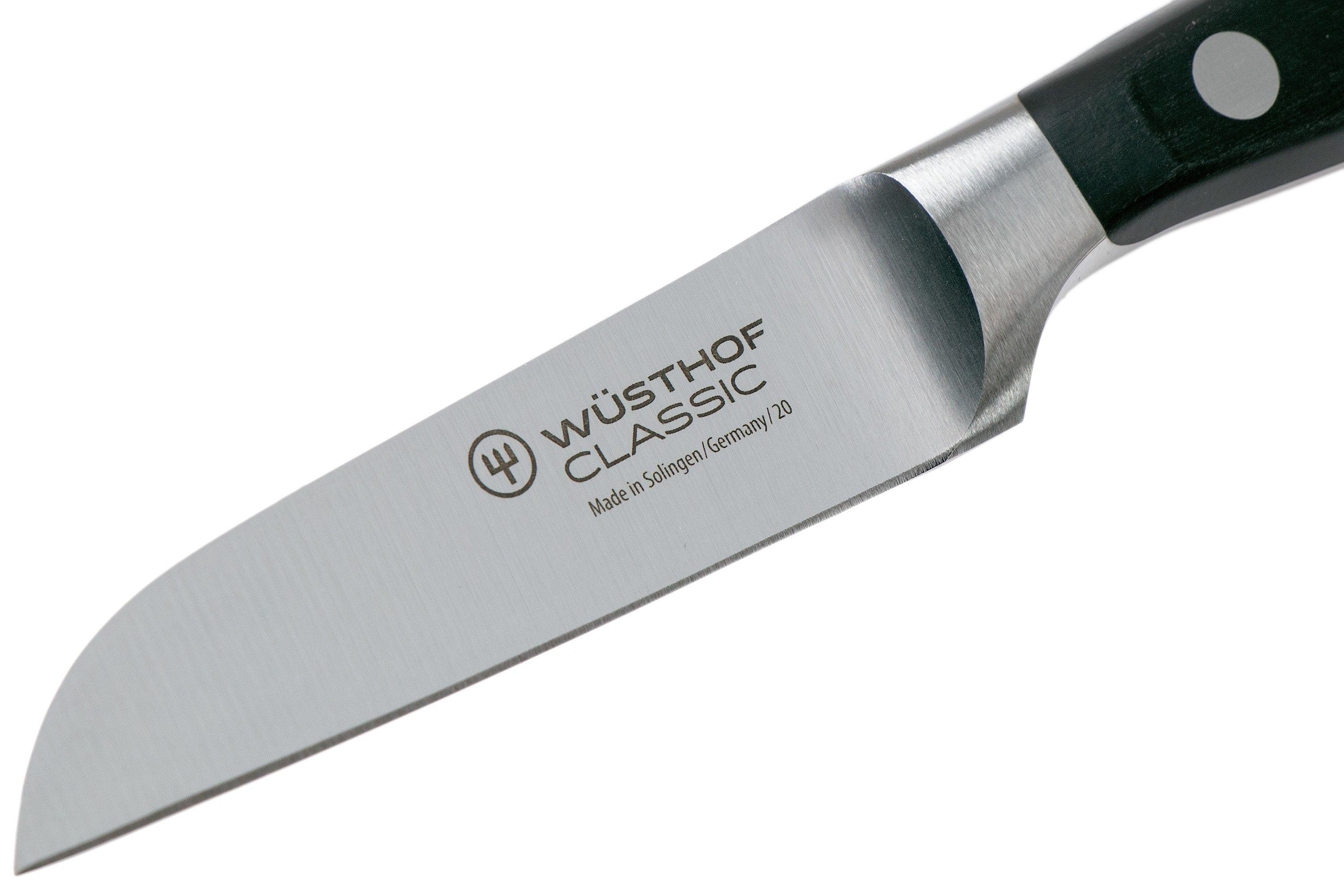 WUSTHOF Classic Professional Kitchen-Butcher Knives -High Carbon Stainless  Steel