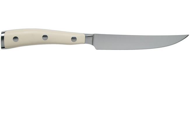 cuchillo para carne 10 blanco