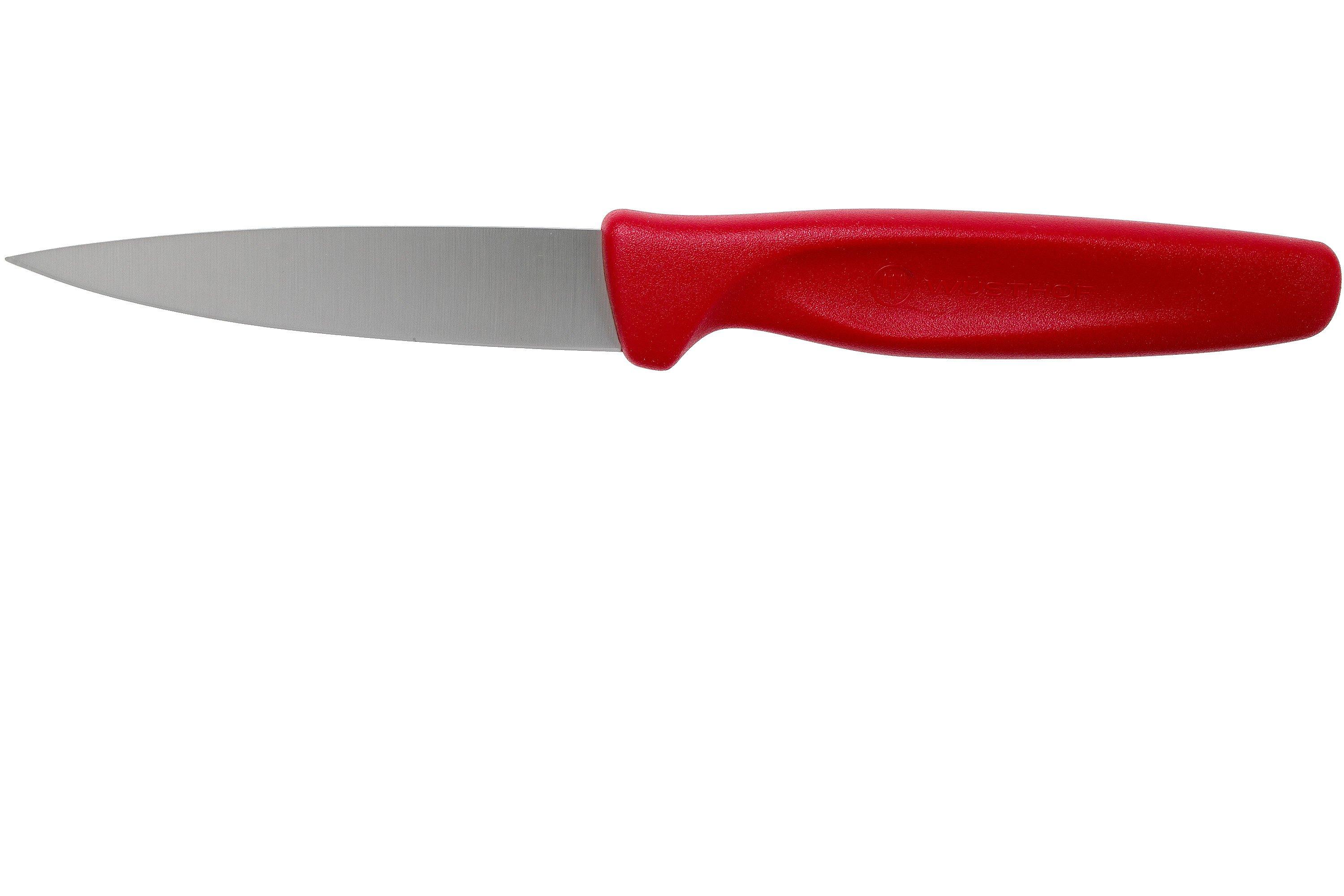 W sthof create collection schilmes 8 cm rood voordelig kopen bij