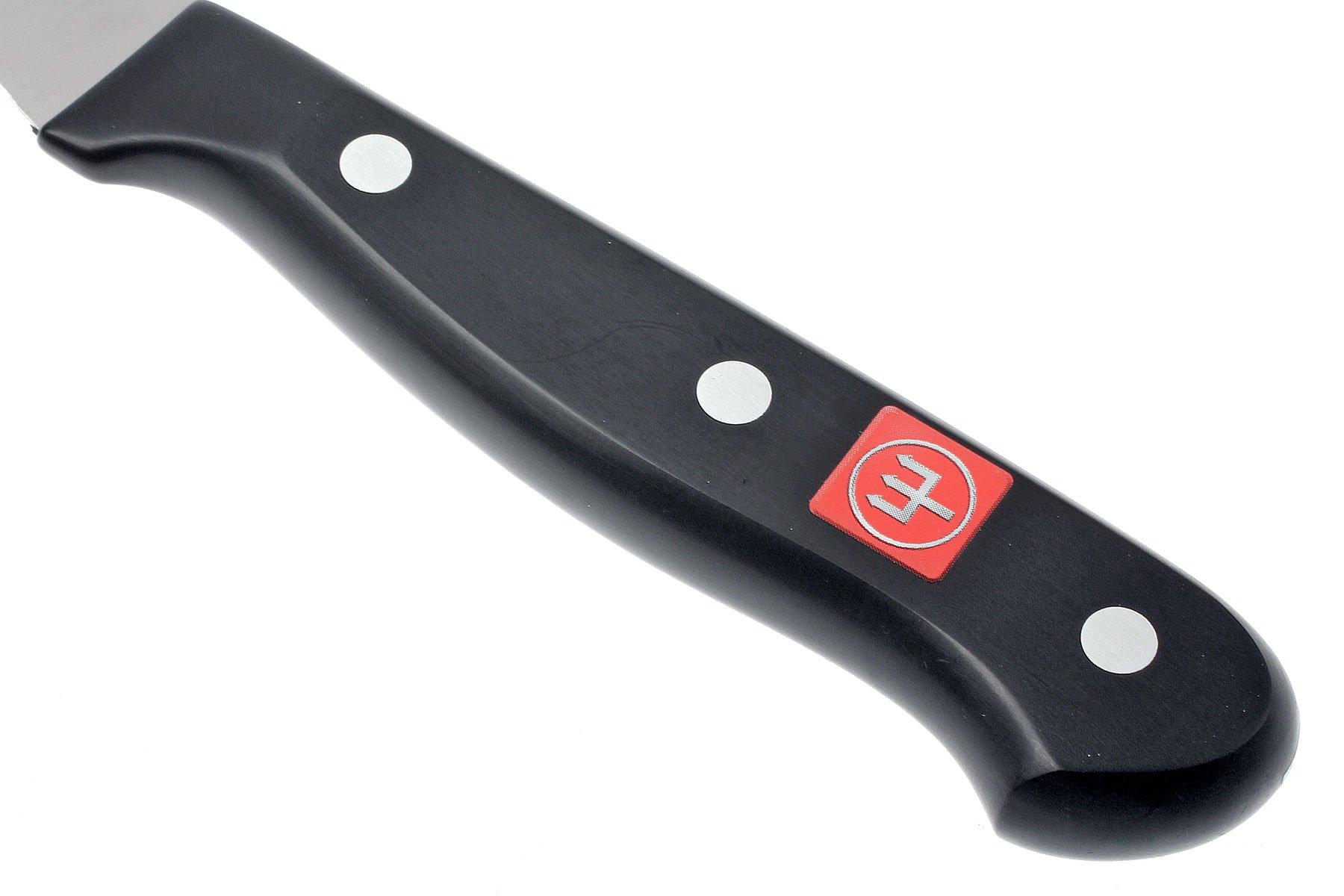 WÜSTHOF Gourmet Flexible hollow edged salmon knife, 4541/29 Advantageously shopping at