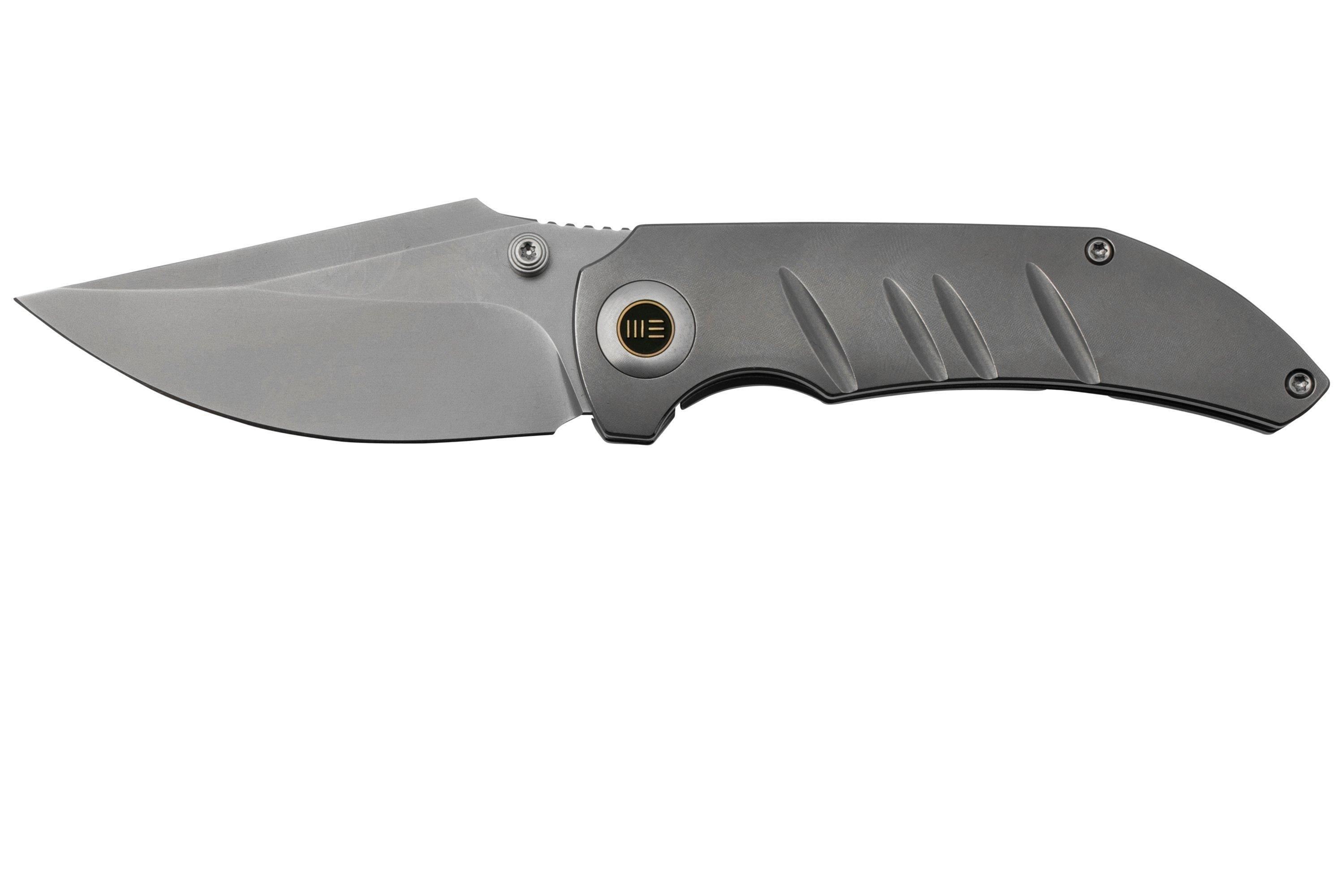 WE Knife Riff-Raff Grey Titanium, Blasted CPM 20CV WE22020B-4 navalha ...