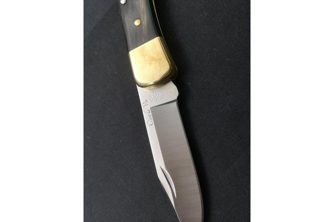 Image pour Buck 110 Folding Hunter