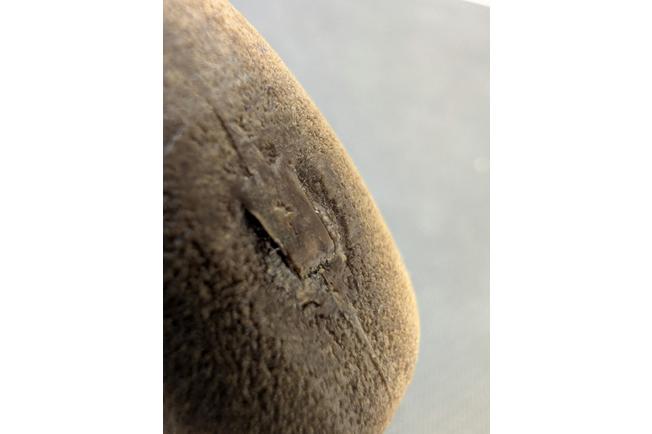 Image for Silky Pocketboy Outback Edition, 170-10