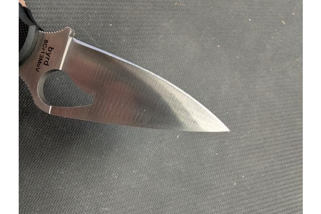 Imagen para Spyderco Byrd Tern BY23GP navaja