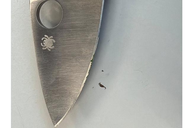 Bild für Spyderco Para 3 C223GP