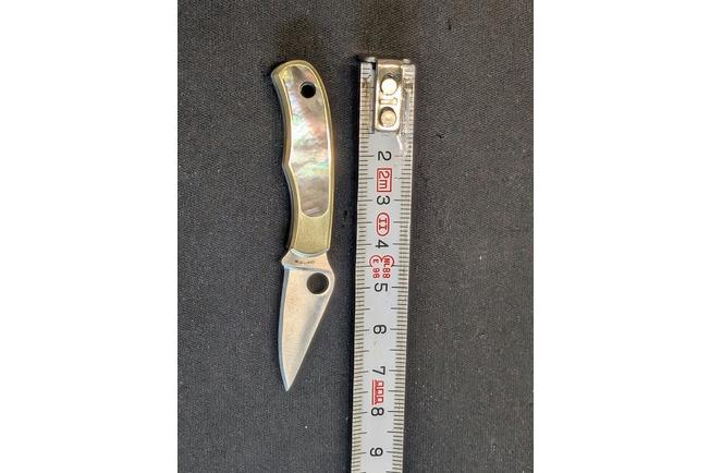 Image pour Spyderco Bug C133AP Satin 12C27, Nickel Silver Abalone, couteau de poche porte-clés