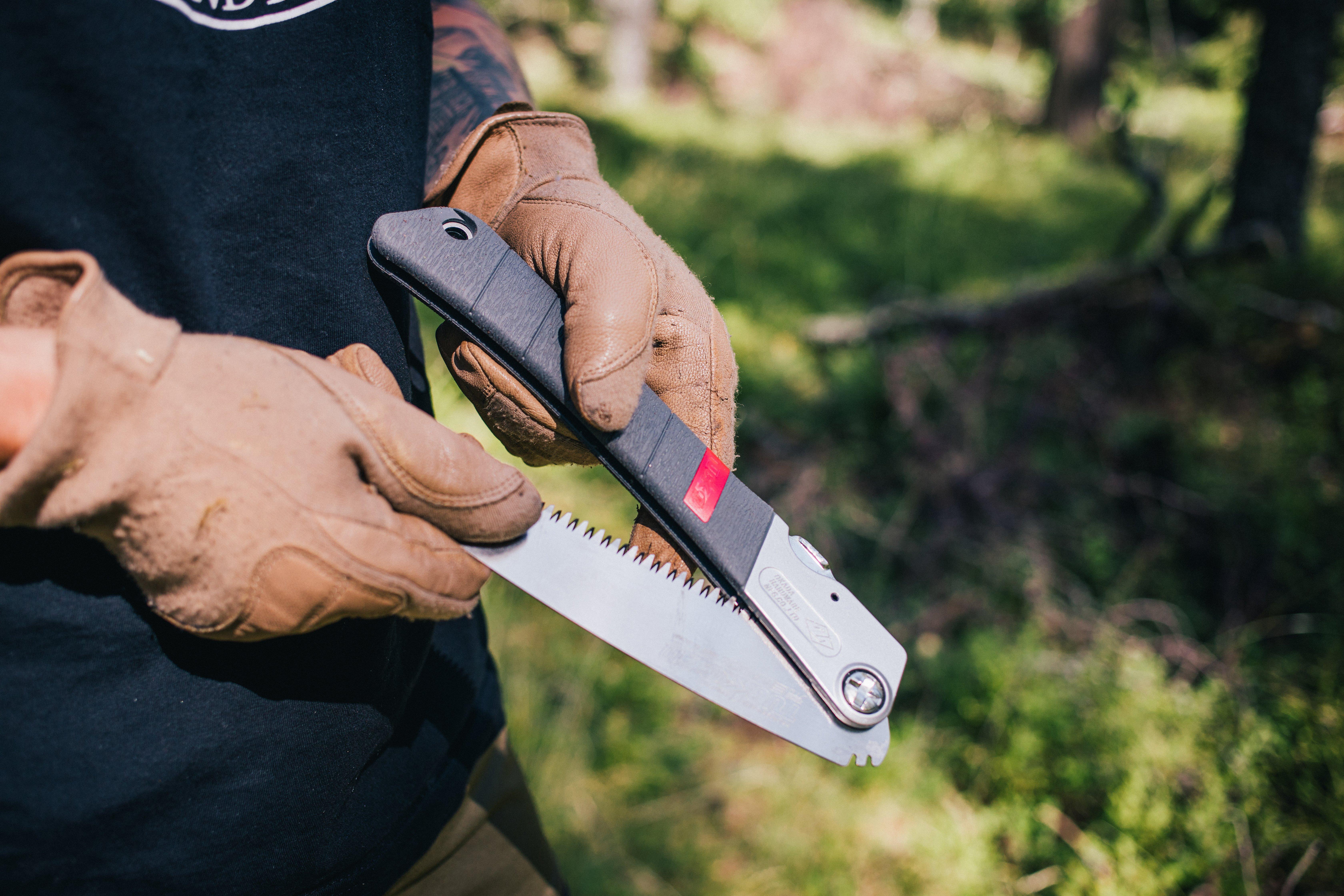 Top 10 de las mejores sierras