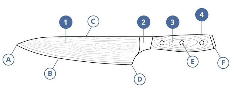 Les différentes parties du couteau de cuisine
