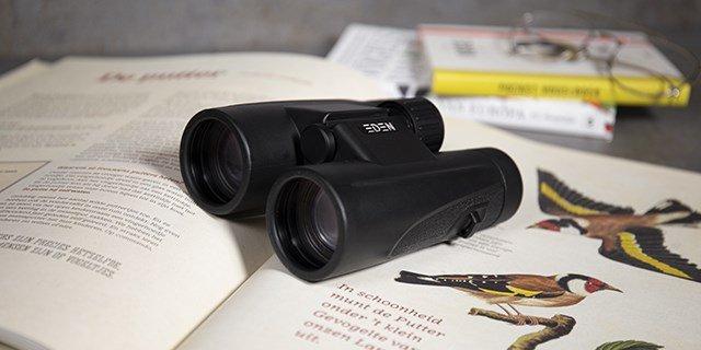 Nationale Tuinvogeltelling 2021: tel je mee?