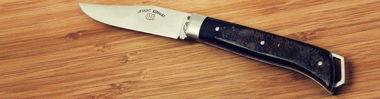 Fontenille Pataud Le Saint-Bernard