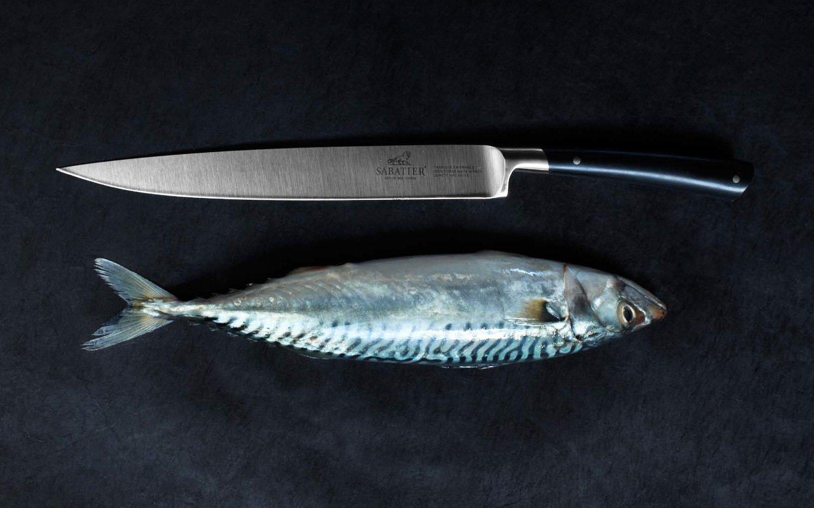 Lion Sabatier Edonist