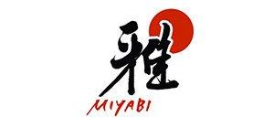 Miyabi by Zwilling