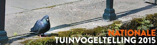 De Nationale Vogeltelling 2015, telt u mee?