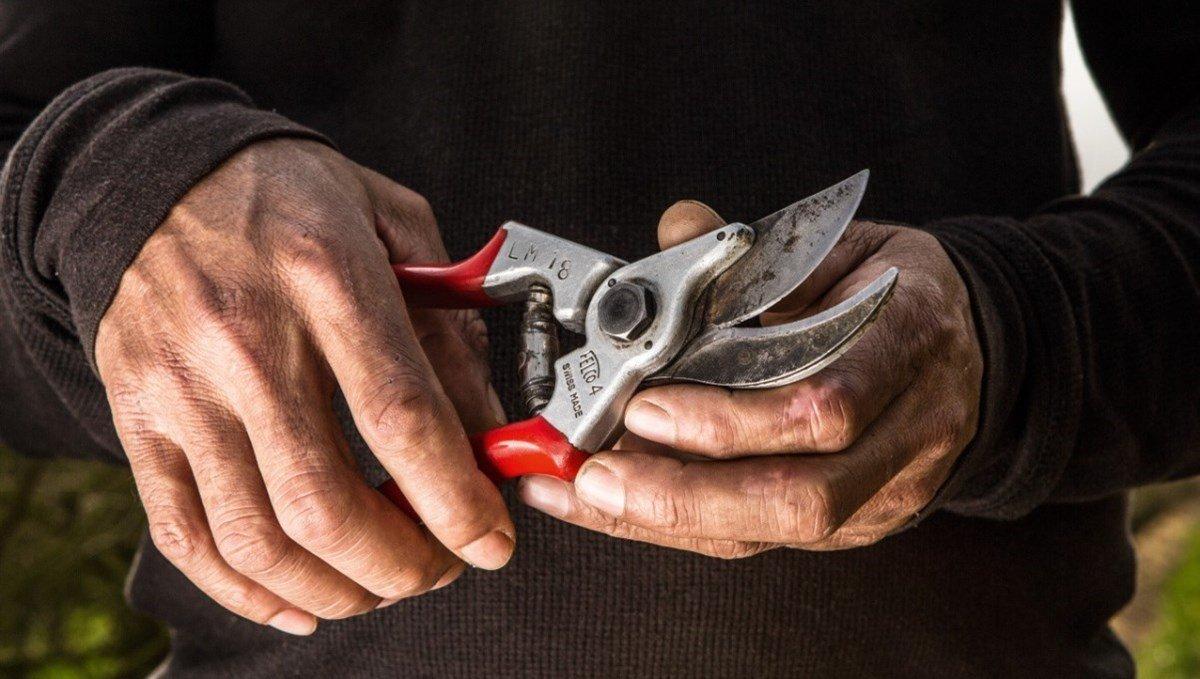 ¿Cuáles son las mejores tijeras de podar?