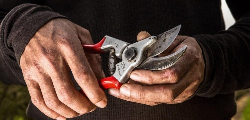 What are the best pruning shears?