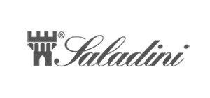 Saladini Logo