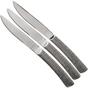 Afbeelding voor Amefa Bongo 246523BC13SK 3-delige steakmessenset