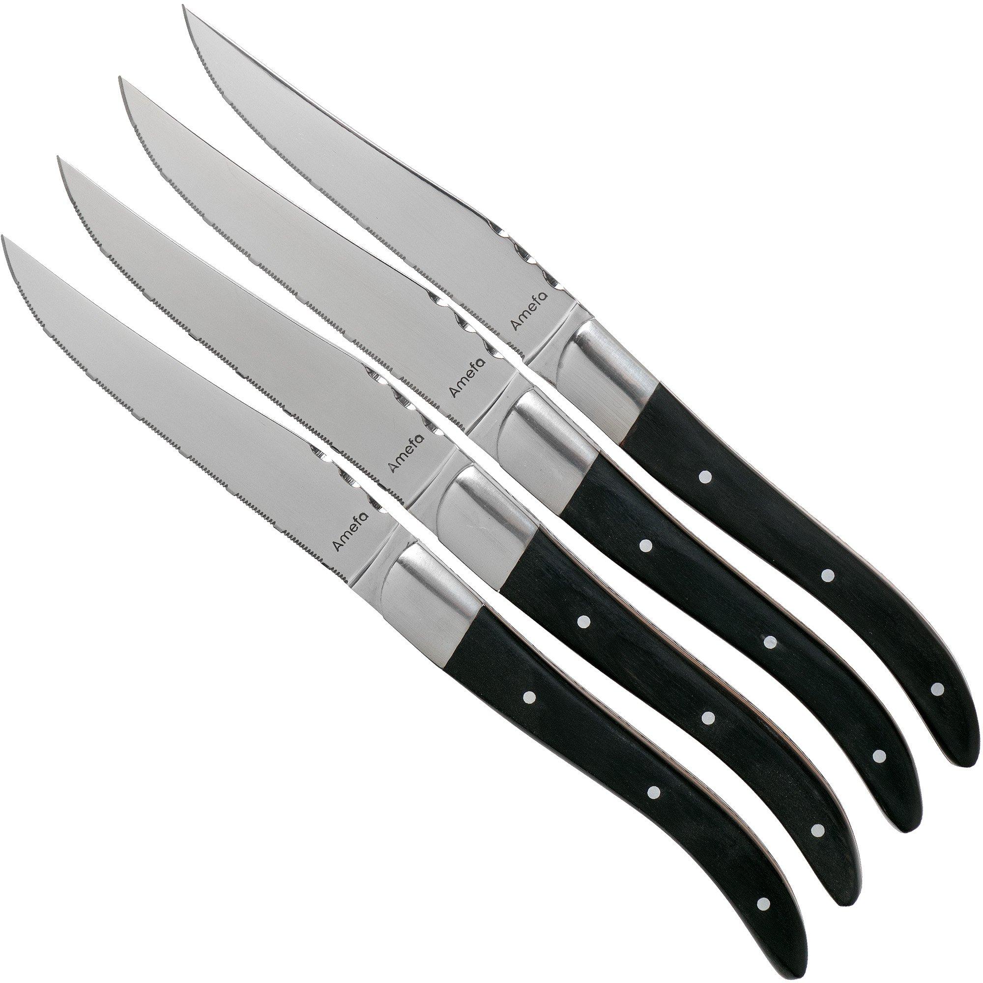 Amefa Royal Steak duo color 2520 Steakmesser 4 Stück