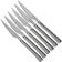 Afbeelding voor Amefa Chuletero 7038 steakmessen 6 stuks