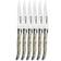 Afbeelding voor Laguiole en Aubrac 62C12CQBIH Sandvik 12C27, Green Turbot, 6-delige steakmesset