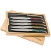 Laguiole en Aubrac Samba 62C99SADIH set de 6 couteaux à steak colorés bois de samba