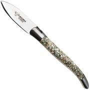 Image pour Laguiole en Aubrac Green Turbot Shell, couteau à huîtres